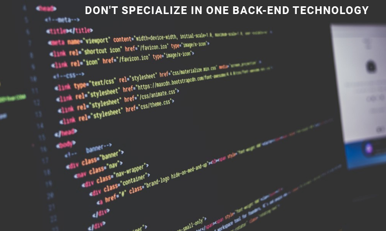 web-development-company