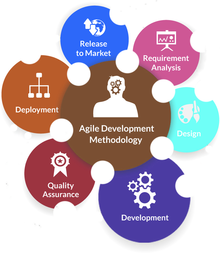 Top 5 Software Development Methodologies
